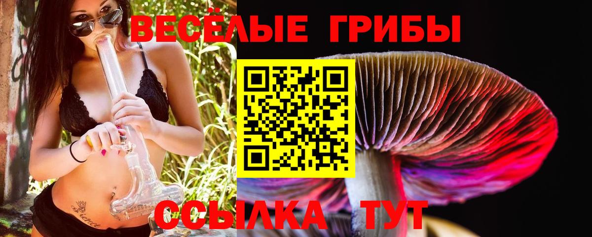 Тольятти  Галлюциногенные грибы GOLDEN TEACHER  Вход с VPN  Галлюциногенные грибы Psilocybine cubensis 